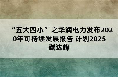 “五大四小”之华润电力发布2020年可持续发展报告 计划2025碳达峰